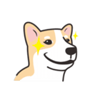 Welsh Corgi（個別スタンプ：15）