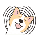 Welsh Corgi（個別スタンプ：19）