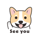 Welsh Corgi（個別スタンプ：27）