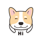 Welsh Corgi（個別スタンプ：28）