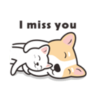 Welsh Corgi（個別スタンプ：36）