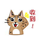 台灣の山猫を抱いてね！（個別スタンプ：23）