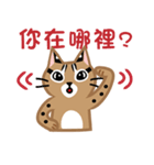 台灣の山猫を抱いてね！（個別スタンプ：29）