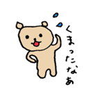 くまちゃん（個別スタンプ：1）