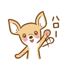 スムースチワワのルルとキキ（個別スタンプ：1）
