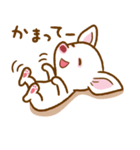 スムースチワワのルルとキキ（個別スタンプ：5）