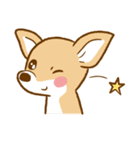 スムースチワワのルルとキキ（個別スタンプ：8）
