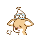 スムースチワワのルルとキキ（個別スタンプ：14）