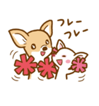 スムースチワワのルルとキキ（個別スタンプ：35）