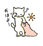 ねこさん（個別スタンプ：1）