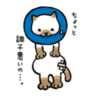 ねこさん（個別スタンプ：13）