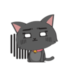 A Black Cat（個別スタンプ：19）