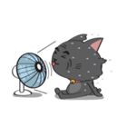 A Black Cat（個別スタンプ：22）