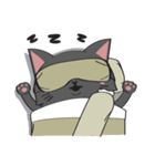 A Black Cat（個別スタンプ：26）