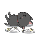 A Black Cat（個別スタンプ：39）