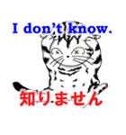 猫で会話 英単語 初級（個別スタンプ：16）