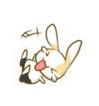 黒パンツのうさぎ（個別スタンプ：2）