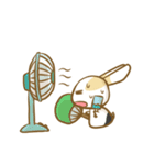 黒パンツのうさぎ（個別スタンプ：37）