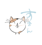 空猫 - そらねこ -（個別スタンプ：5）