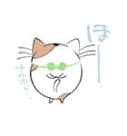 空猫 - そらねこ -（個別スタンプ：13）