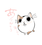 空猫 - そらねこ -（個別スタンプ：17）