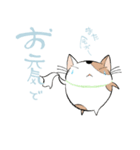 空猫 - そらねこ -（個別スタンプ：19）