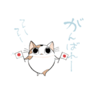 空猫 - そらねこ -（個別スタンプ：20）