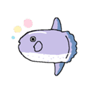 ミスターまんぼう（個別スタンプ：1）