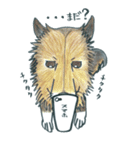 犬と猫の毎日（個別スタンプ：21）
