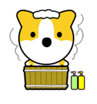 柴田さん（個別スタンプ：10）