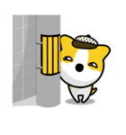 柴田さん（個別スタンプ：11）