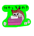 おとぼけ子猫ちゃん（個別スタンプ：1）