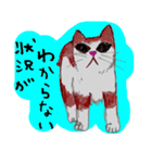 おとぼけ子猫ちゃん（個別スタンプ：8）