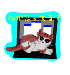 おとぼけ子猫ちゃん（個別スタンプ：21）