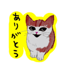 おとぼけ子猫ちゃん（個別スタンプ：36）