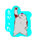 おとぼけ子猫ちゃん（個別スタンプ：39）