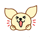 LOVE CHIHUAHUA（個別スタンプ：2）