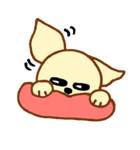 LOVE CHIHUAHUA（個別スタンプ：18）