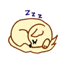 LOVE CHIHUAHUA（個別スタンプ：24）