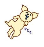 LOVE CHIHUAHUA（個別スタンプ：25）