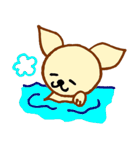 LOVE CHIHUAHUA（個別スタンプ：28）