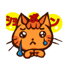 チャトラと仲間たち！（個別スタンプ：16）