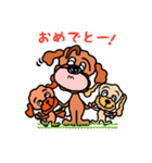 Poodle’ず（個別スタンプ：22）