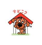 Poodle’ず（個別スタンプ：34）