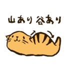 つちねこ（個別スタンプ：34）