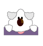 トイプードルのチップ（個別スタンプ：3）