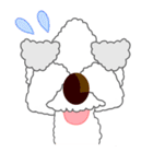 トイプードルのチップ（個別スタンプ：19）