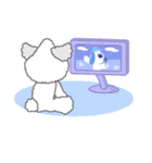 トイプードルのチップ（個別スタンプ：20）