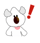 トイプードルのチップ（個別スタンプ：39）