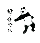 侍パンダ（個別スタンプ：1）